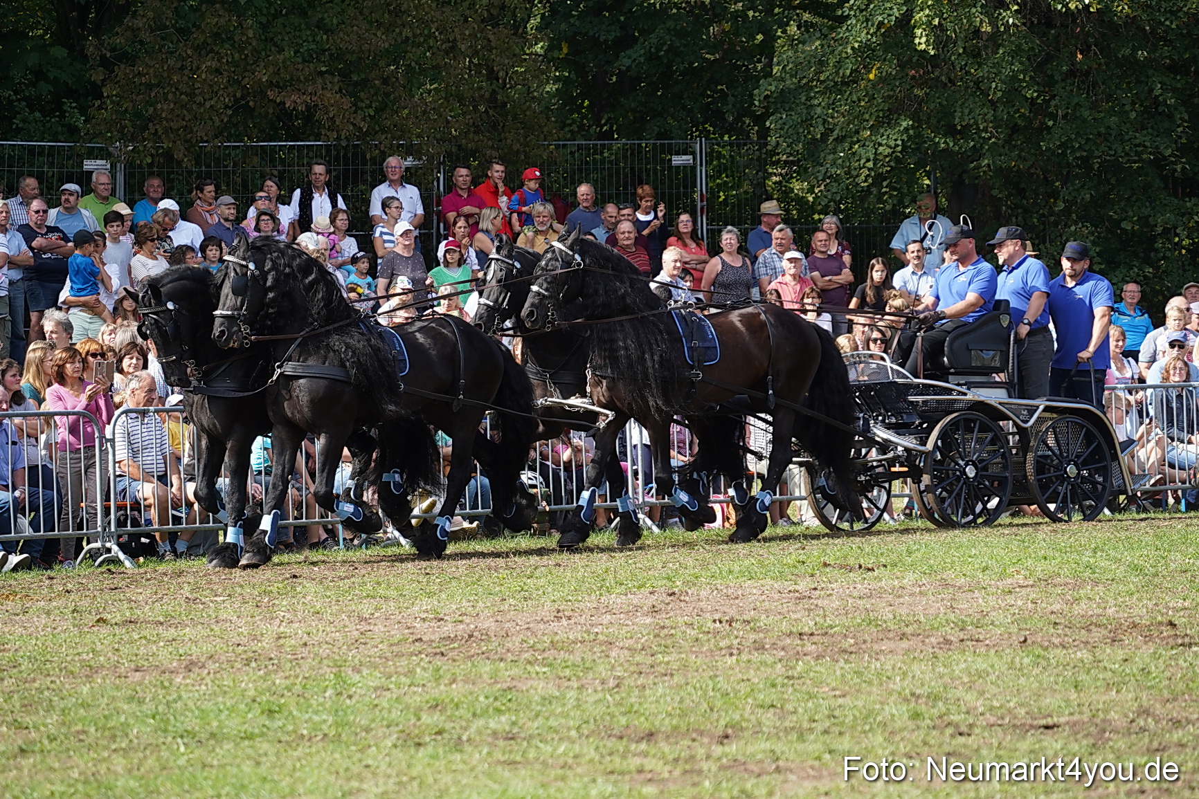 Pferde und Fohlenschau 2022 0205 